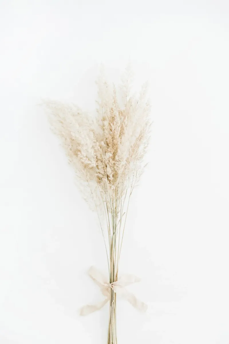 Quiete rustica alluminio dibond da PhotoVibe Decor