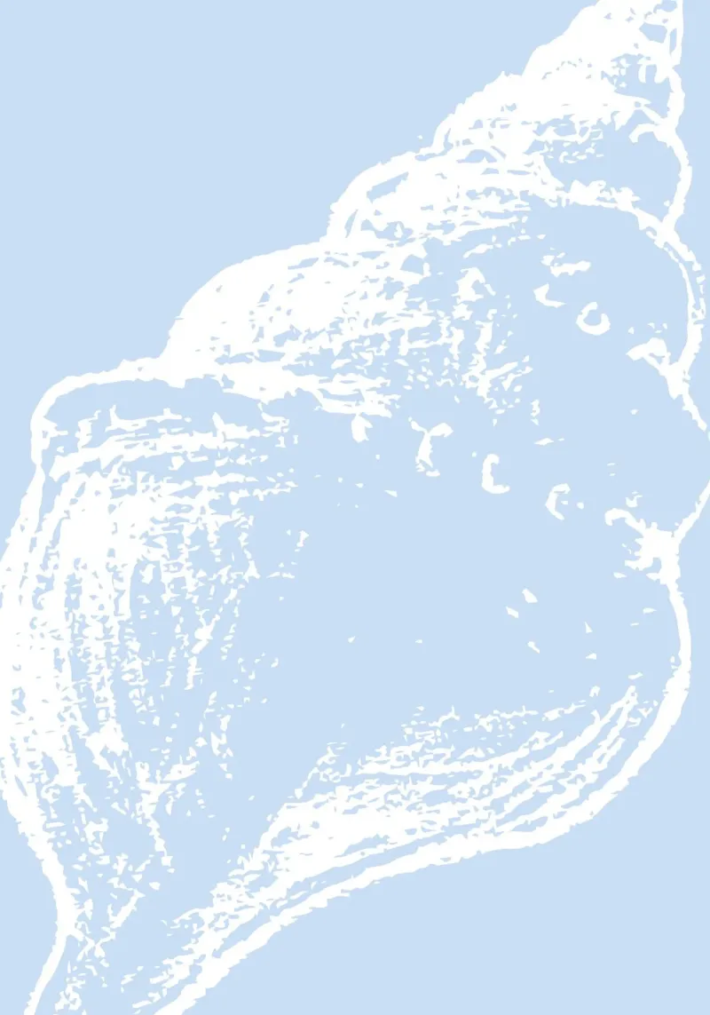 Abstract Whelk Shell Print - Pastel Blue, Modern Coastal Dec canvas with Floater frame by ClubArt