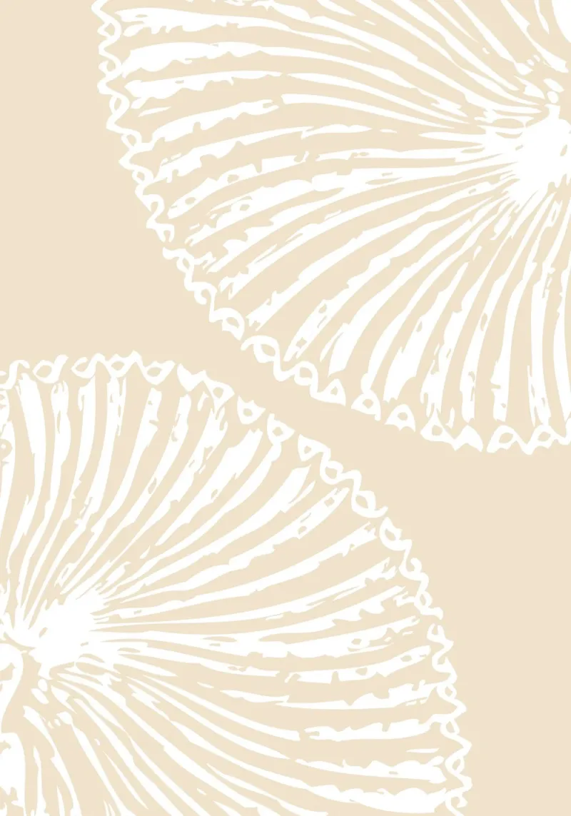 Abstract Seashell Print - Neutral Coastal Decor, Modern Beac canvas by ClubArt