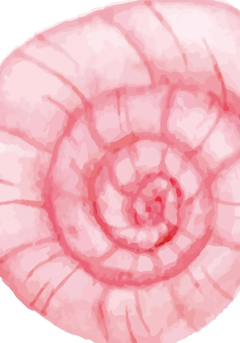 Pink Seashell Watercolor Print - Coastal Chic, Mermaidcore D canvas by ClubArt