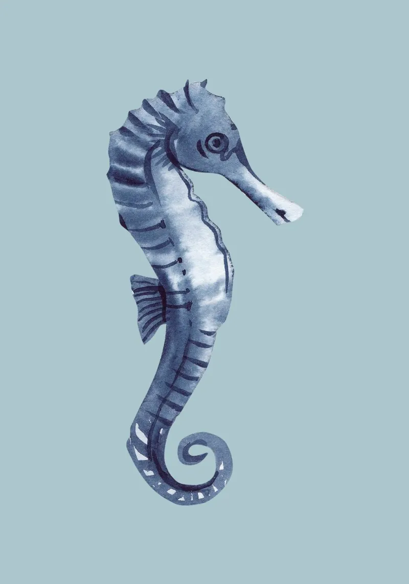 Indigo Seahorse Watercolor - Coastal Art, Modern Marine Deco poster by ClubArt