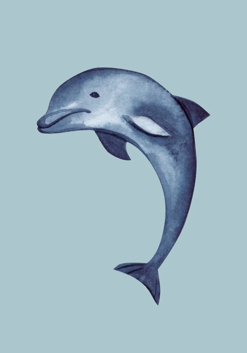Springender Delphin Aquarell - Ozean Kunst, Küsten Marine Dekoration Hahnemühle von ClubArt