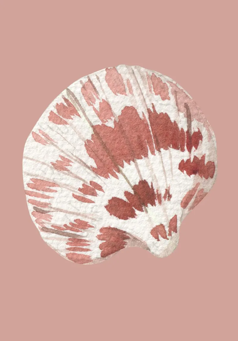 Acquerello Scallop Shell - Terracotta e bianco, Coastal Chic poster con telaio in legno da ClubArt