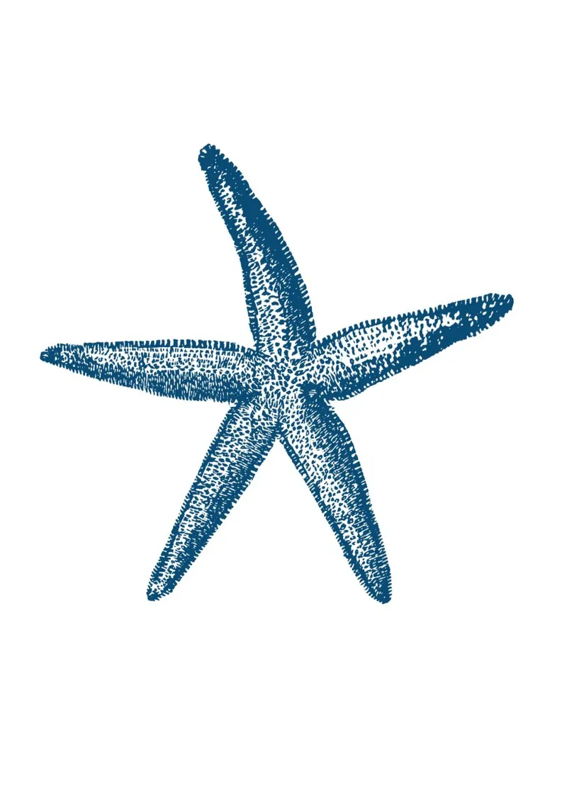Print van gestructureerde blauwe zeesterren - Nautisch, Kustzeekunst canvas met Baklijst van ClubArt