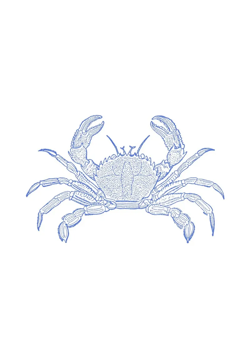 Textured Blue Crab Print - Kust, Nautisch Zeeleven Kunst canvas met Baklijst van ClubArt