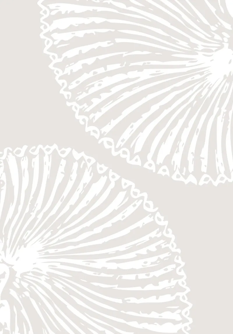 Abstract Seashell Print - Neutral Coastal Decor, Modern Beac canvas by ClubArt