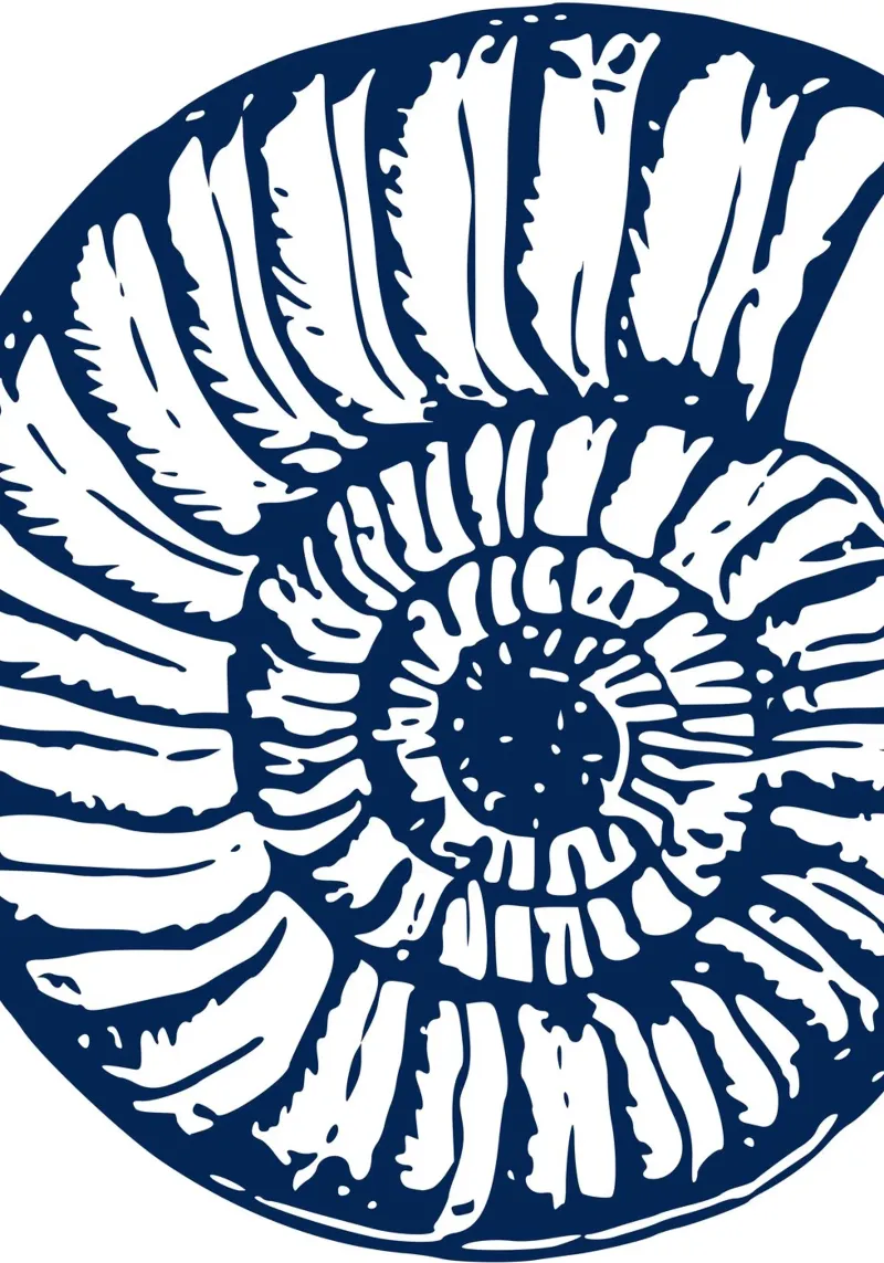 Ammoniet Fossiel Print - Nautisch Blauw, Oude Oceaan Kunst canvas van ClubArt