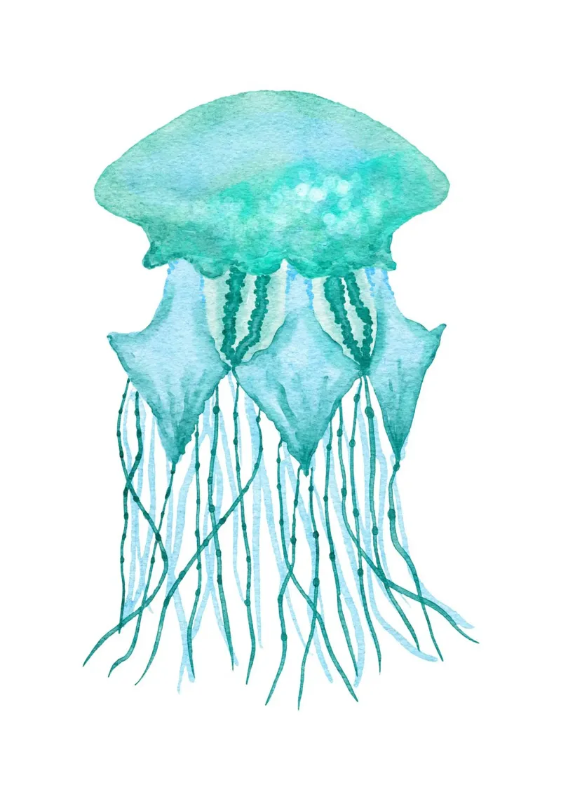 Aqua Jellyfish Watercolor Art - Ocean Life, Coastal Decor poster by ClubArt