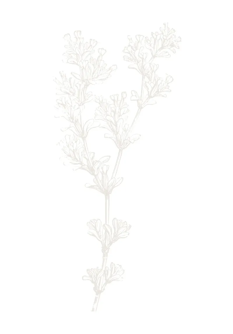 Subtile Botanical Line Art - Minimalistischer Blumendruck, Ästhetik Hahnemühle von ClubArt