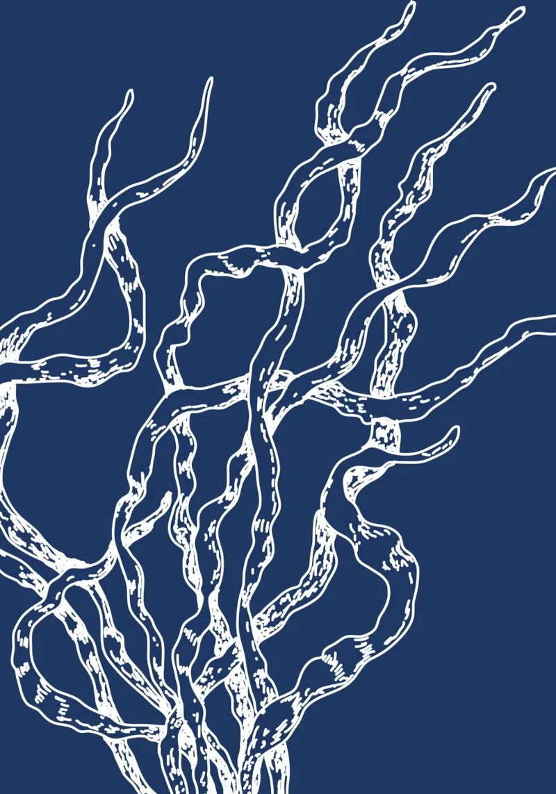 Abstract zeewier print - Nautisch blauw, moderne kustkunst canvas met Baklijst van ClubArt