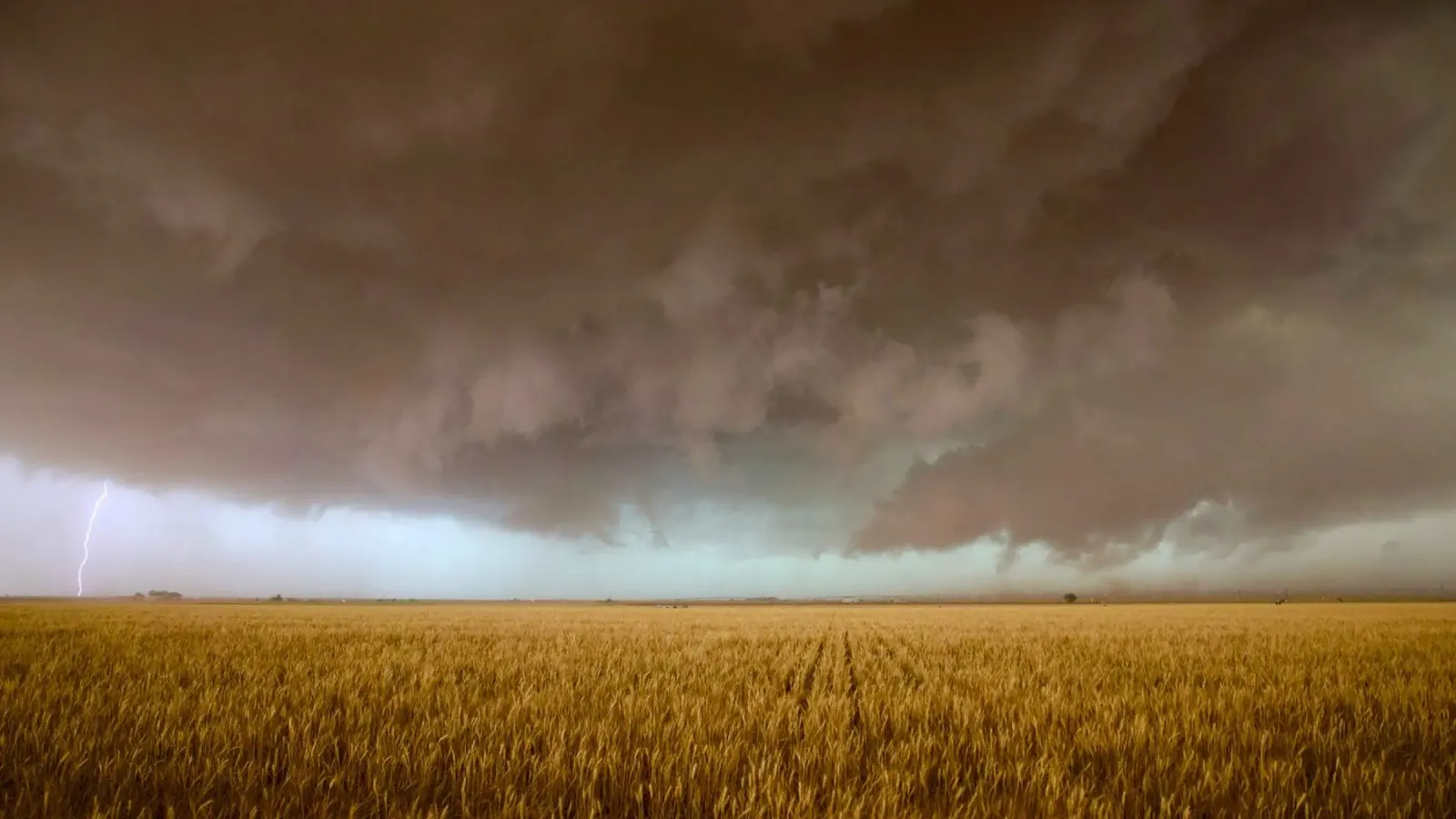 campo di grano cielo tempestoso pellicola backlit da Earthly Visions