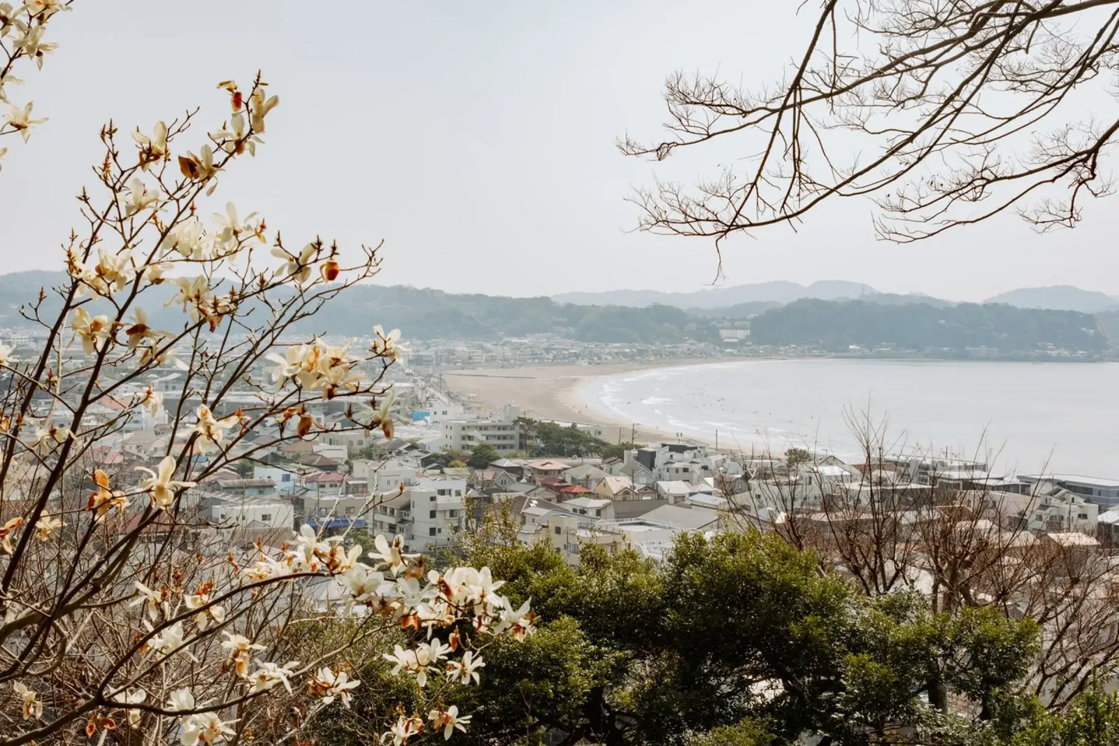 Mare di Kamakura, Giappone pellicola backlit da Marcel Bisig