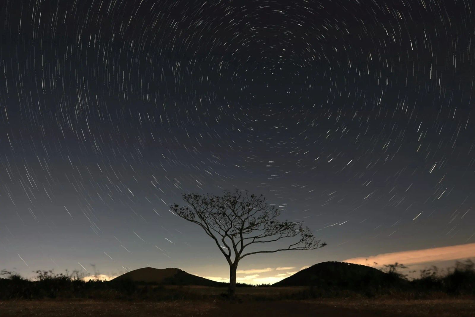silhouette albero in timelapse plexiglass da space words