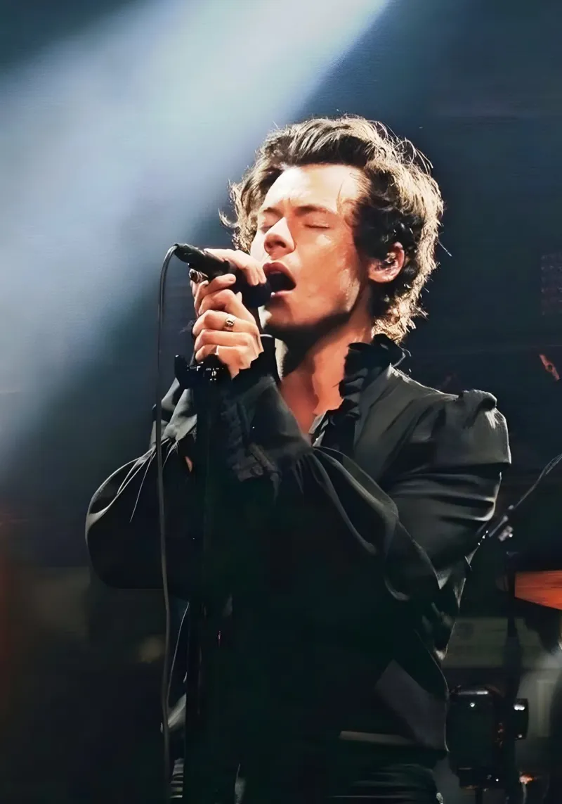 Harry Styles pellicola backlit da Low poly art