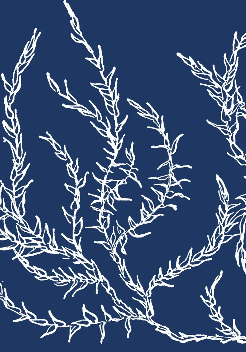 Abstract Seaweed Pattern Print - Nautical Blue, Coastal Deco hahnemühle by ClubArt
