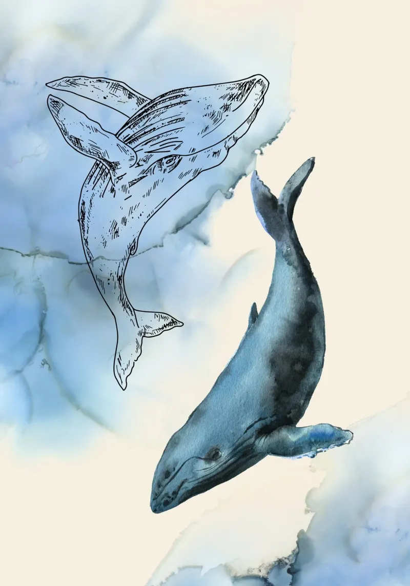 Wal-Kunstdruck - Aquarell & Linie Kunst, Ozean-Mischung Dekor Poster von ClubArt