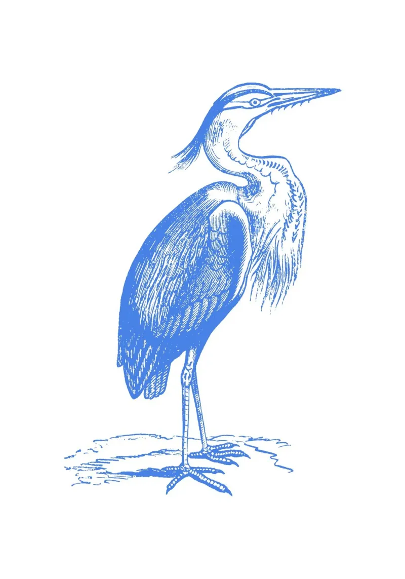 Print van blauwe reiger met structuur - Kustnatuur, Wetland Art canvas met Baklijst van ClubArt