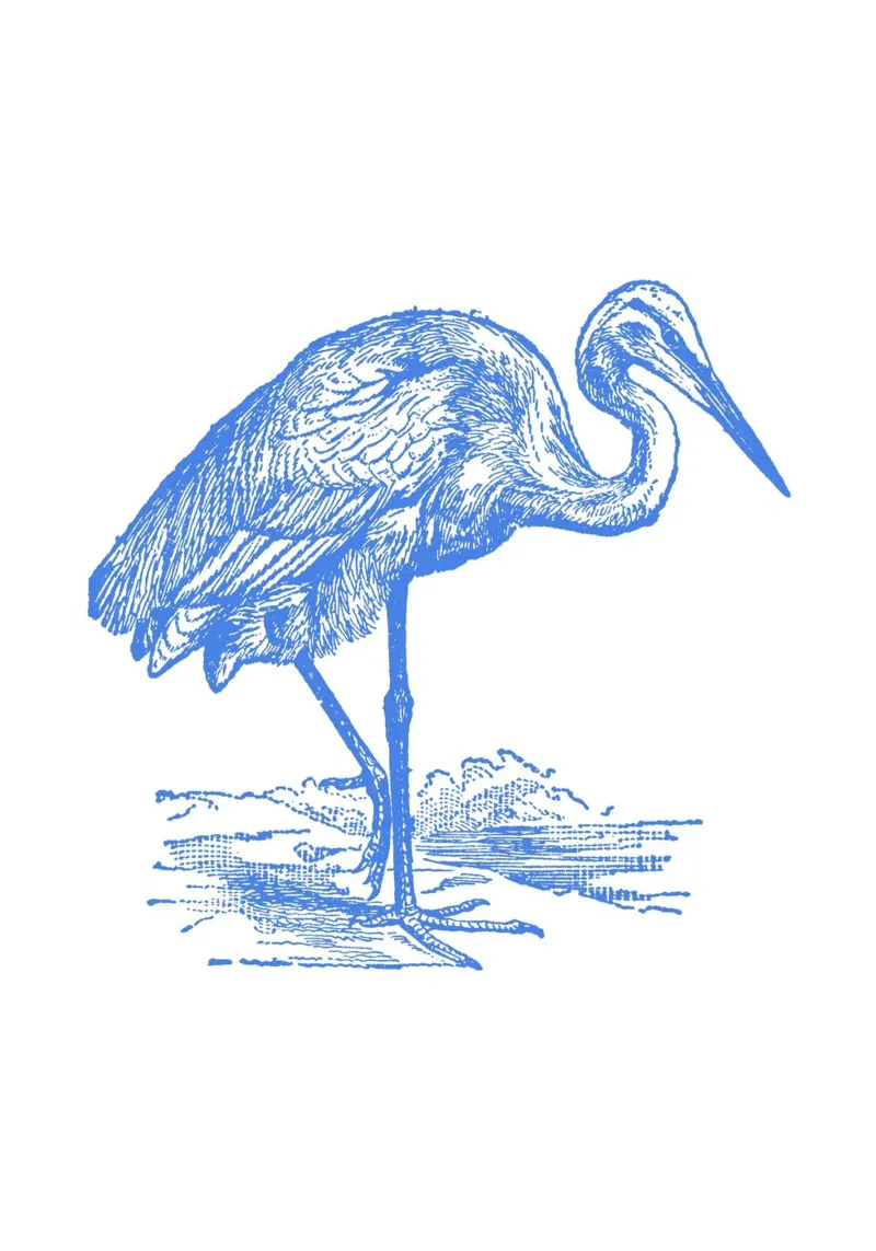 Blauw gestructureerde waadvogeldruk - Kustnatuur, Wetland Ar canvas met Baklijst van ClubArt