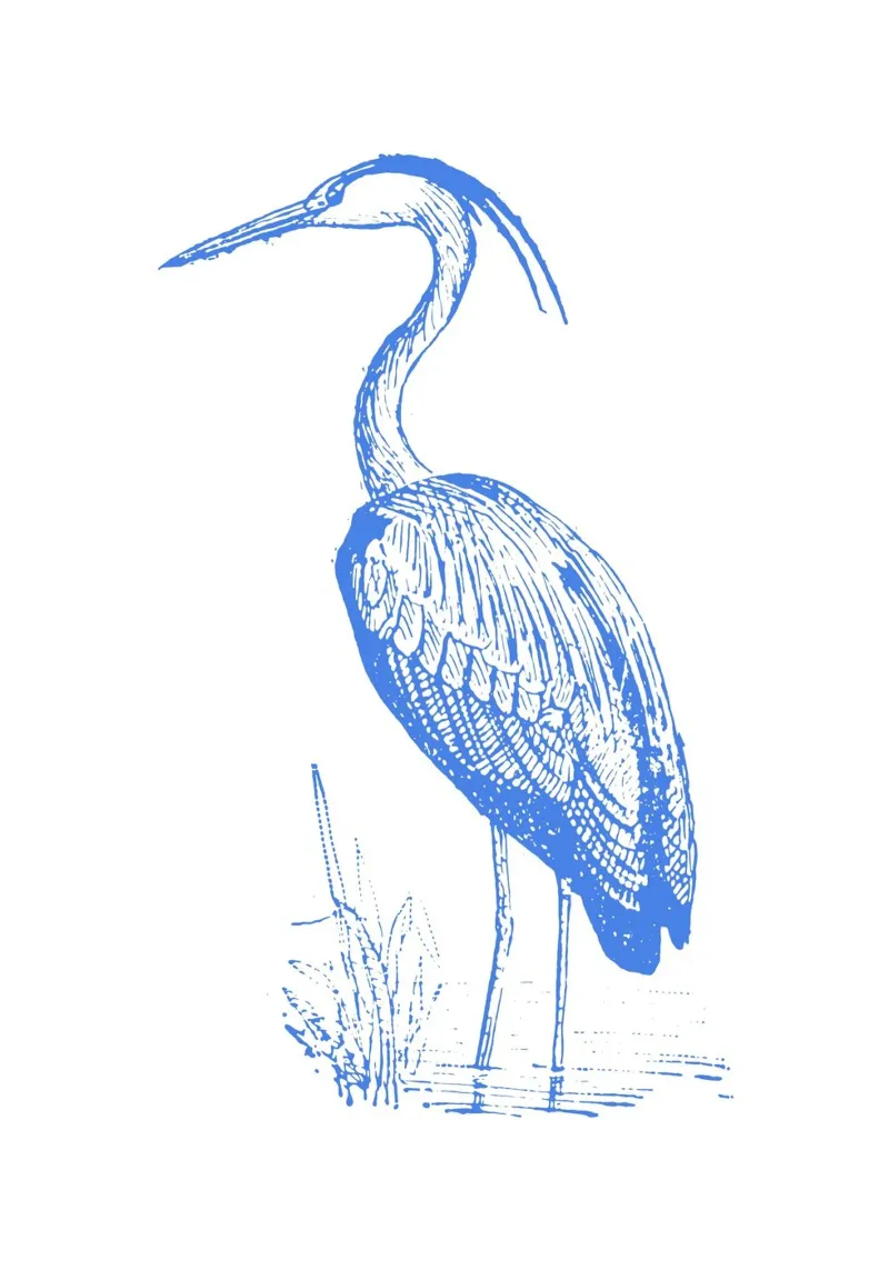 Print van blauwe reiger met structuur - Kustnatuur, Wetland Art canvas met Baklijst van ClubArt