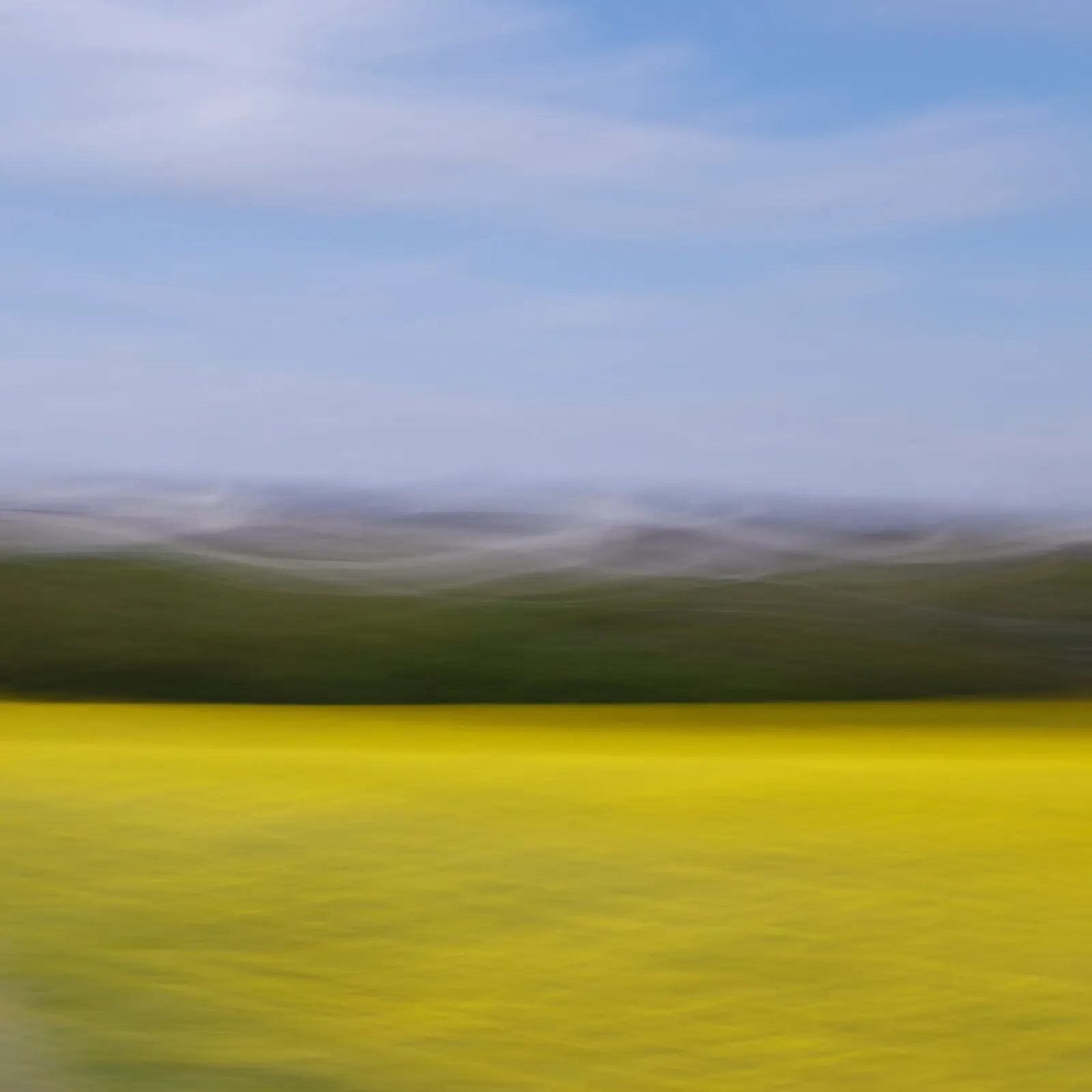fields of gold | 89 alluminio dibond da steffi photographer