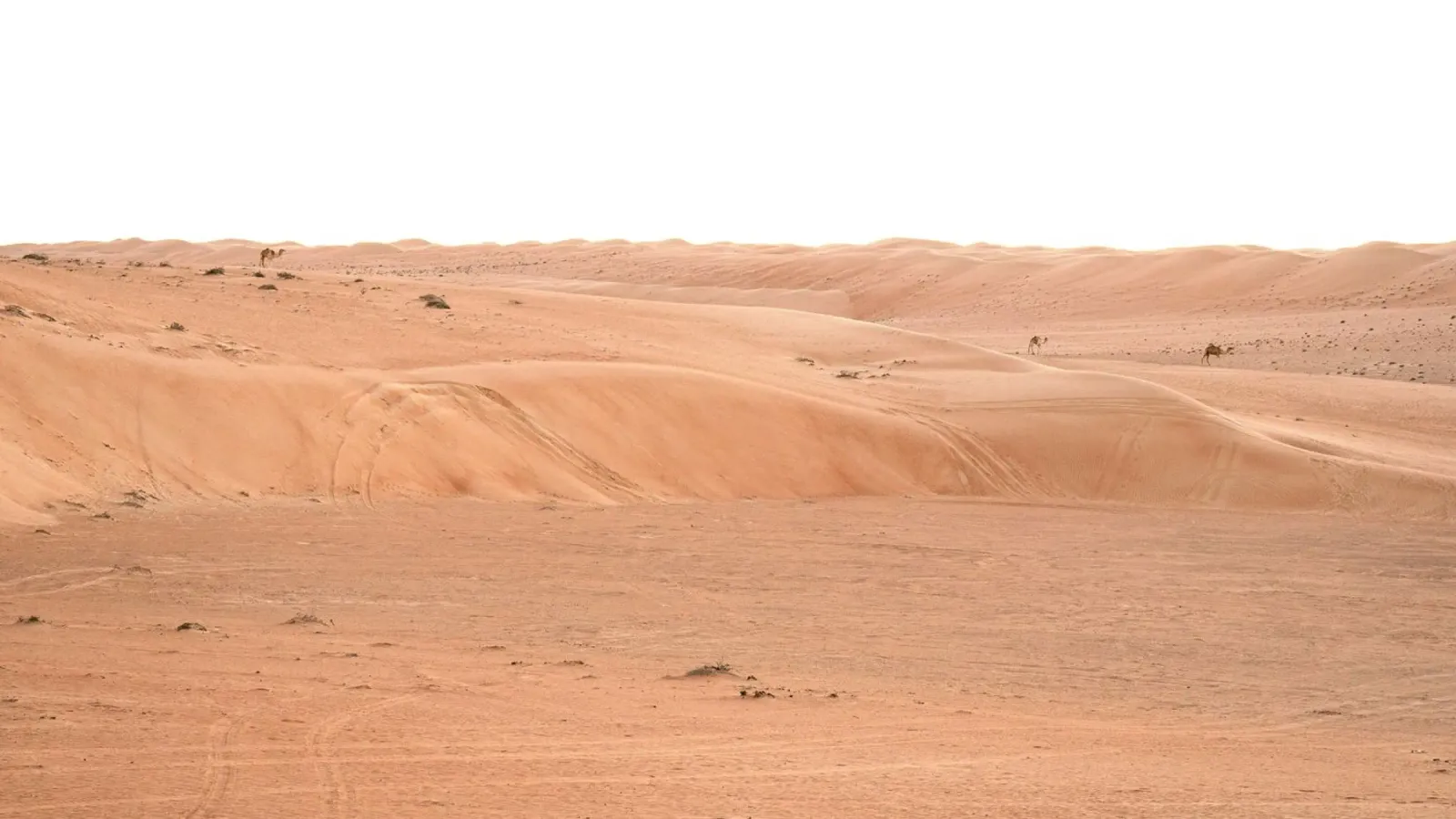 sabbia del deserto e isolato poster con telaio in legno da life of sands