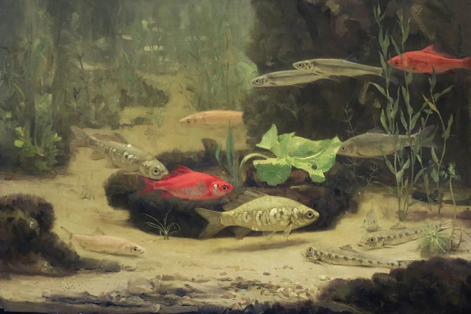 Dijsselhof: Acquario d'oro e pesci d'argento - Realismo olandese Marin poster con telaio in alluminio da ClubArt