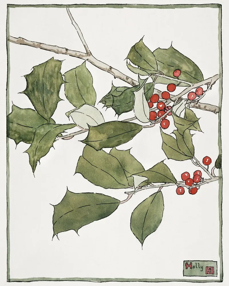 Hannah Overbeck: Agrifoglio - Arti e Mestieri Botanici (1915) pellicola backlit da ClubArt