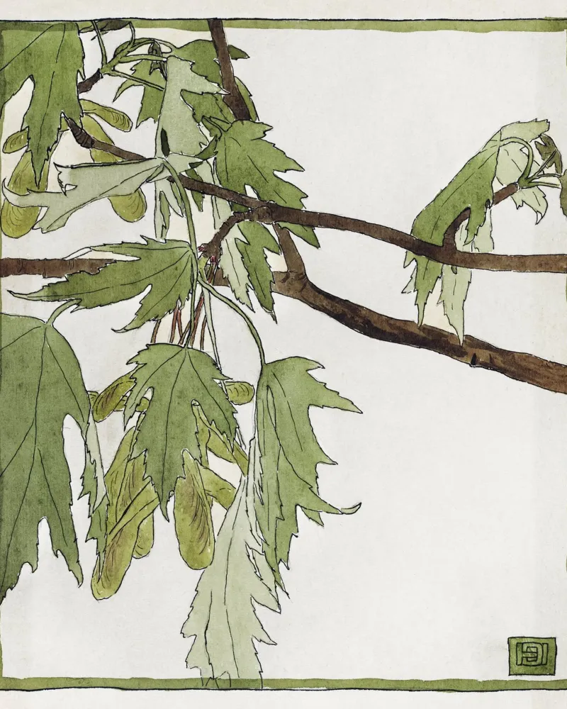 Hannah Overbeck: Acero - Arti e Mestieri Botanici (1915) poster da ClubArt