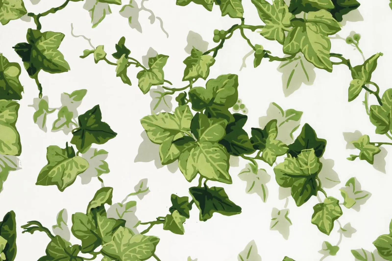 Modello di foglie di edera attorcigliate - Botanica verde vintage (1840) poster con telaio in plastica da ClubArt