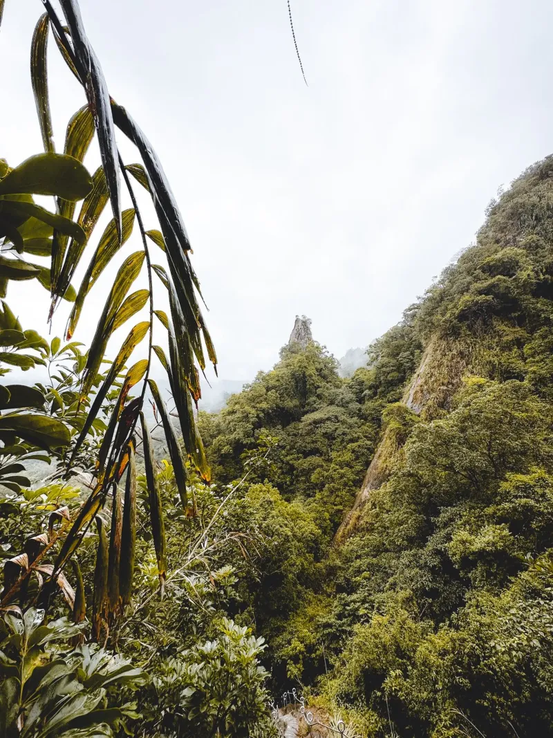 It's A Jungle Out There tela con Cornice a cassetta da Thilo Grøsch