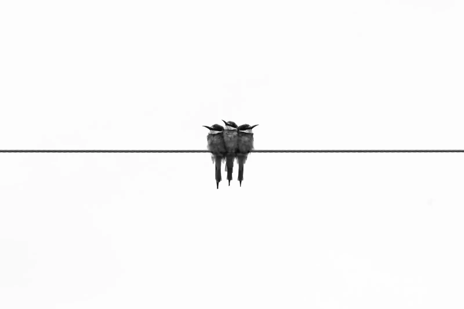 Minimal Schwarz Leinwand mit Schattenfugenrahmen von PhotoVibe Decor