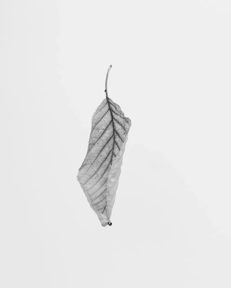 Nero minimale poster con telaio in plastica da PhotoVibe Decor