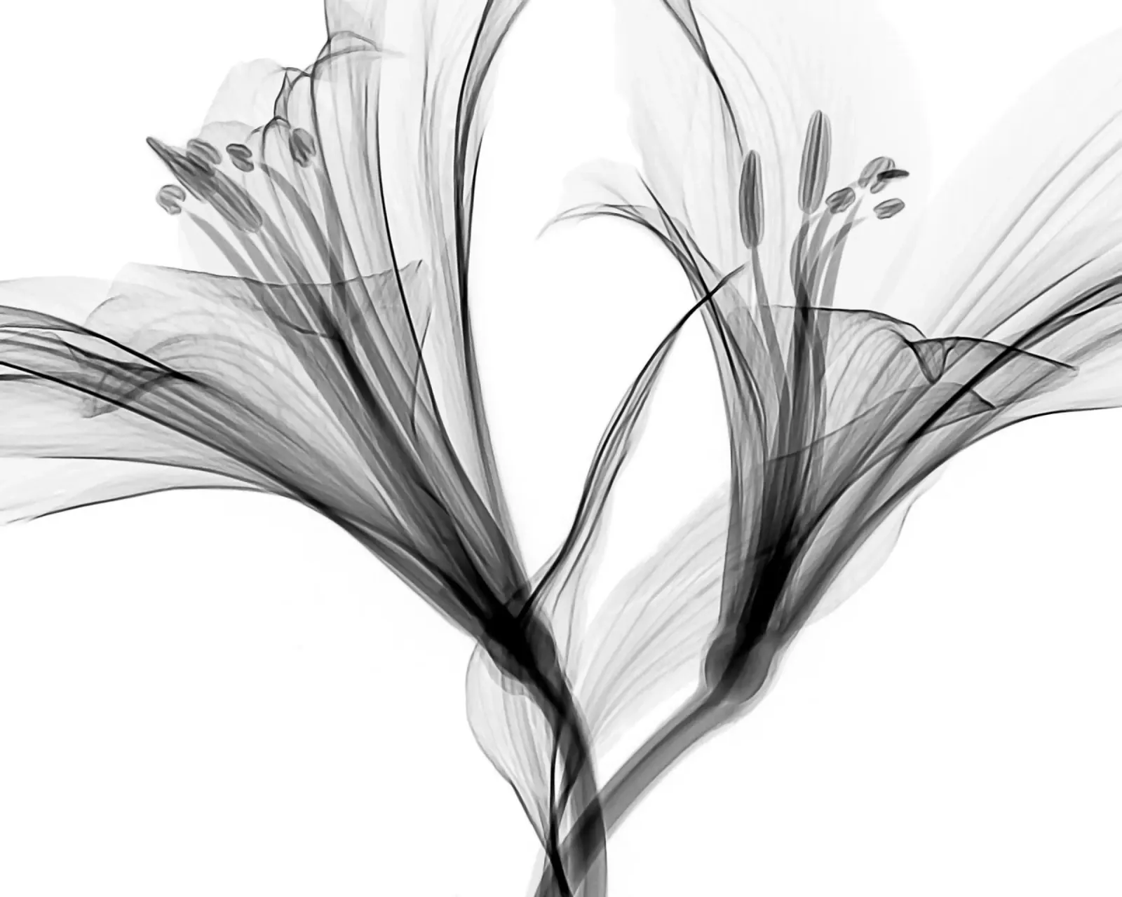 Nero minimale poster con telaio in plastica da PhotoVibe Decor
