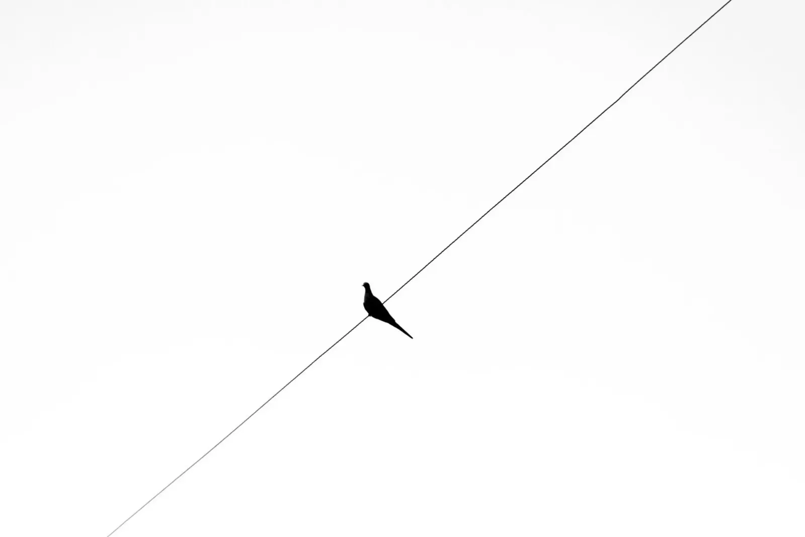 Minimal Black canvas by PhotoVibe Decor