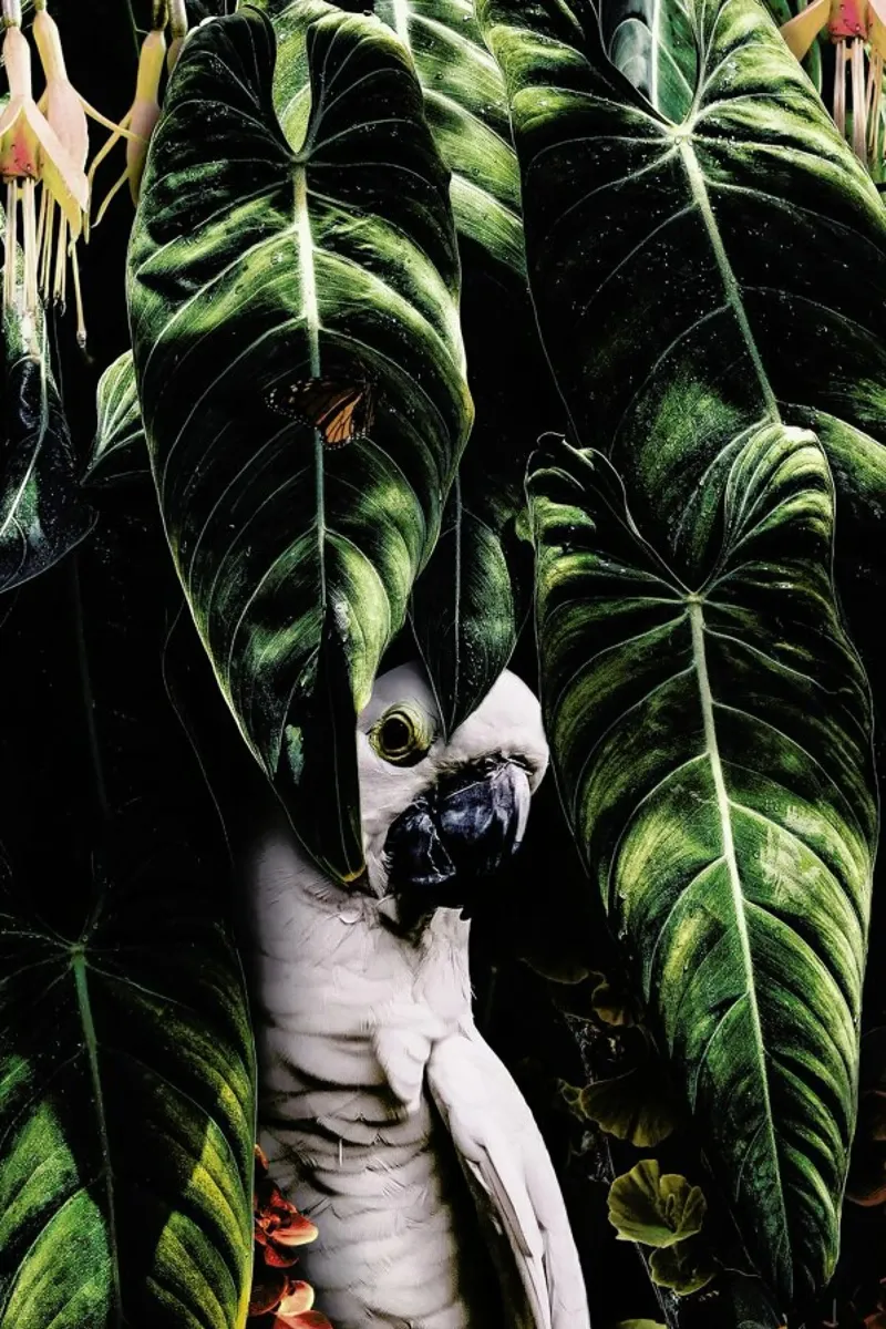 Jungle Scene pellicola backlit da Wouter Rikken