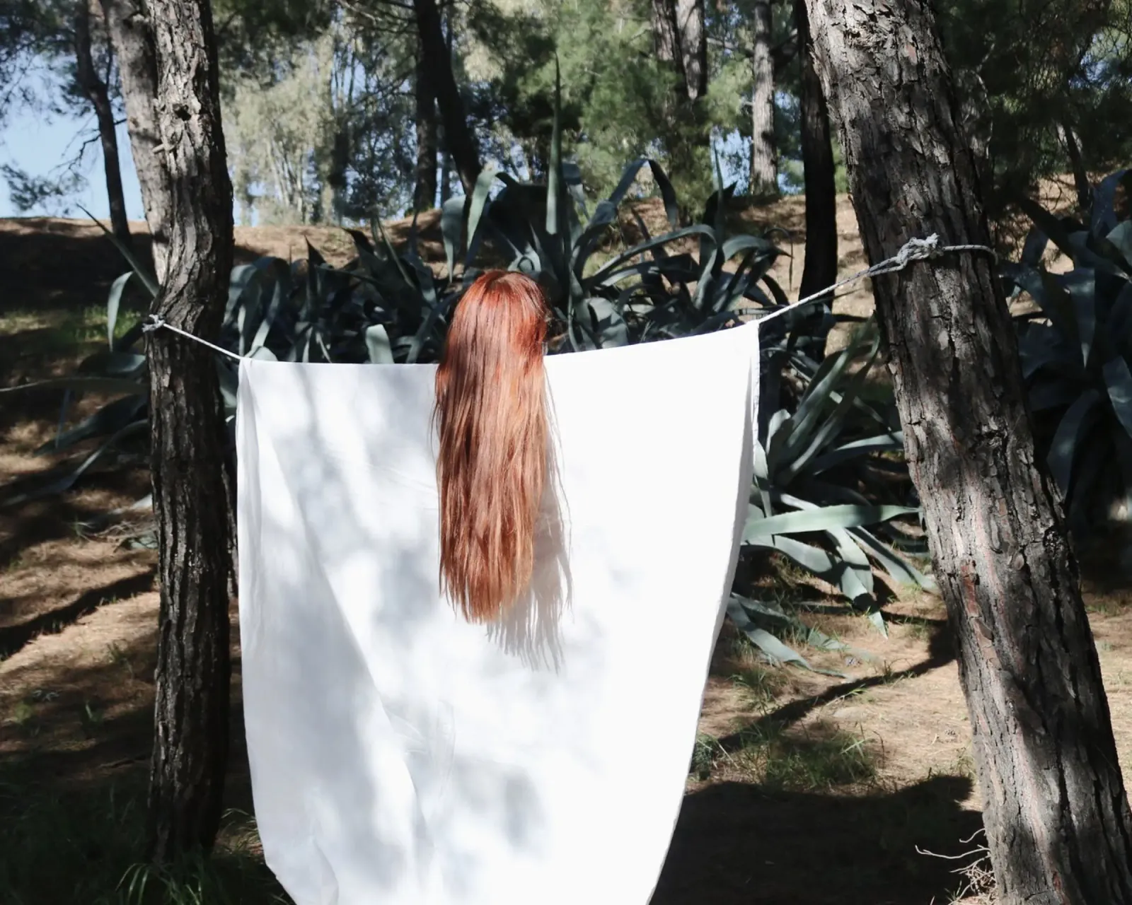 La foresta custodisce i suoi segreti poster con telaio in plastica da George Griefy