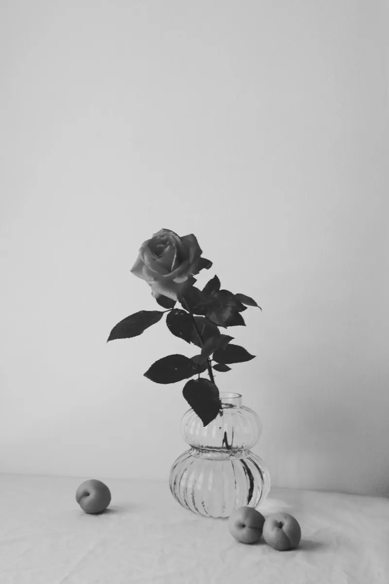 Black And White Dreams poster con telaio in plastica da George Griefy