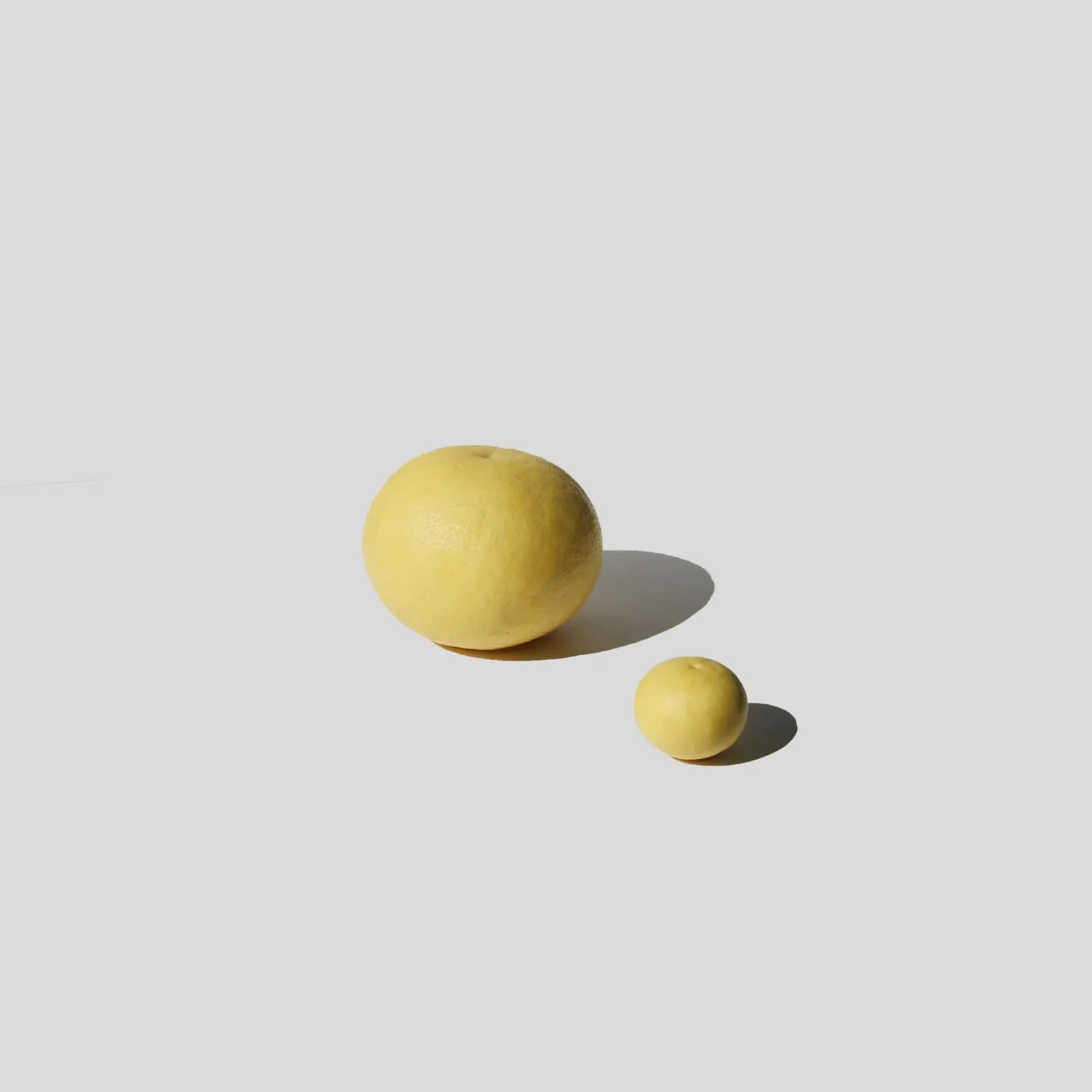 Grapefruit alluminio dibond da George Griefy