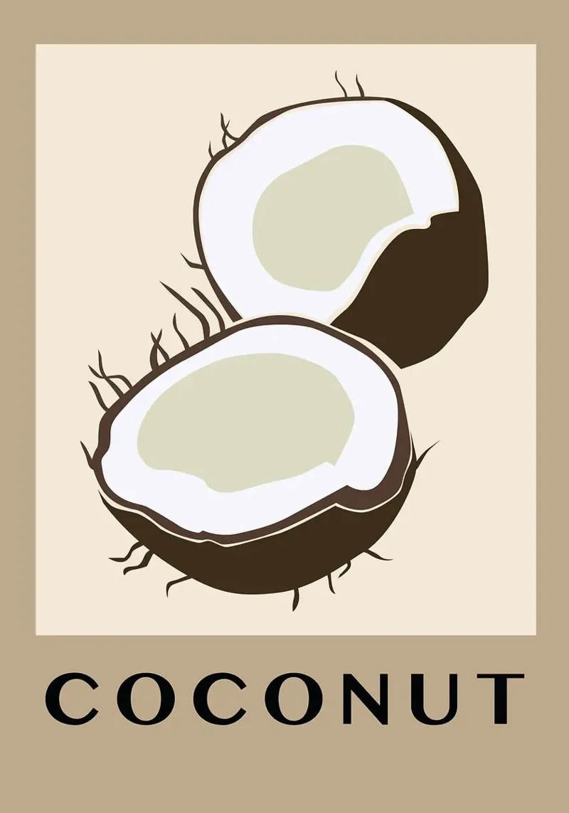 frutta di cocco pannello forex da Bernadette Miller