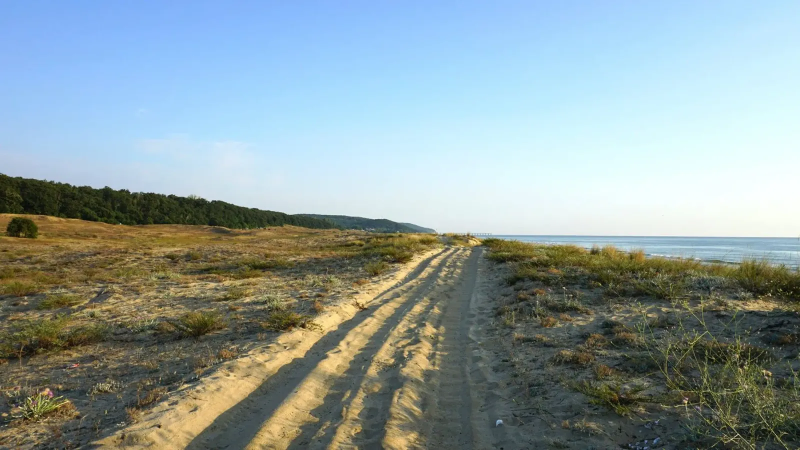 sandy path dune canvas with Floater frame by life of sands