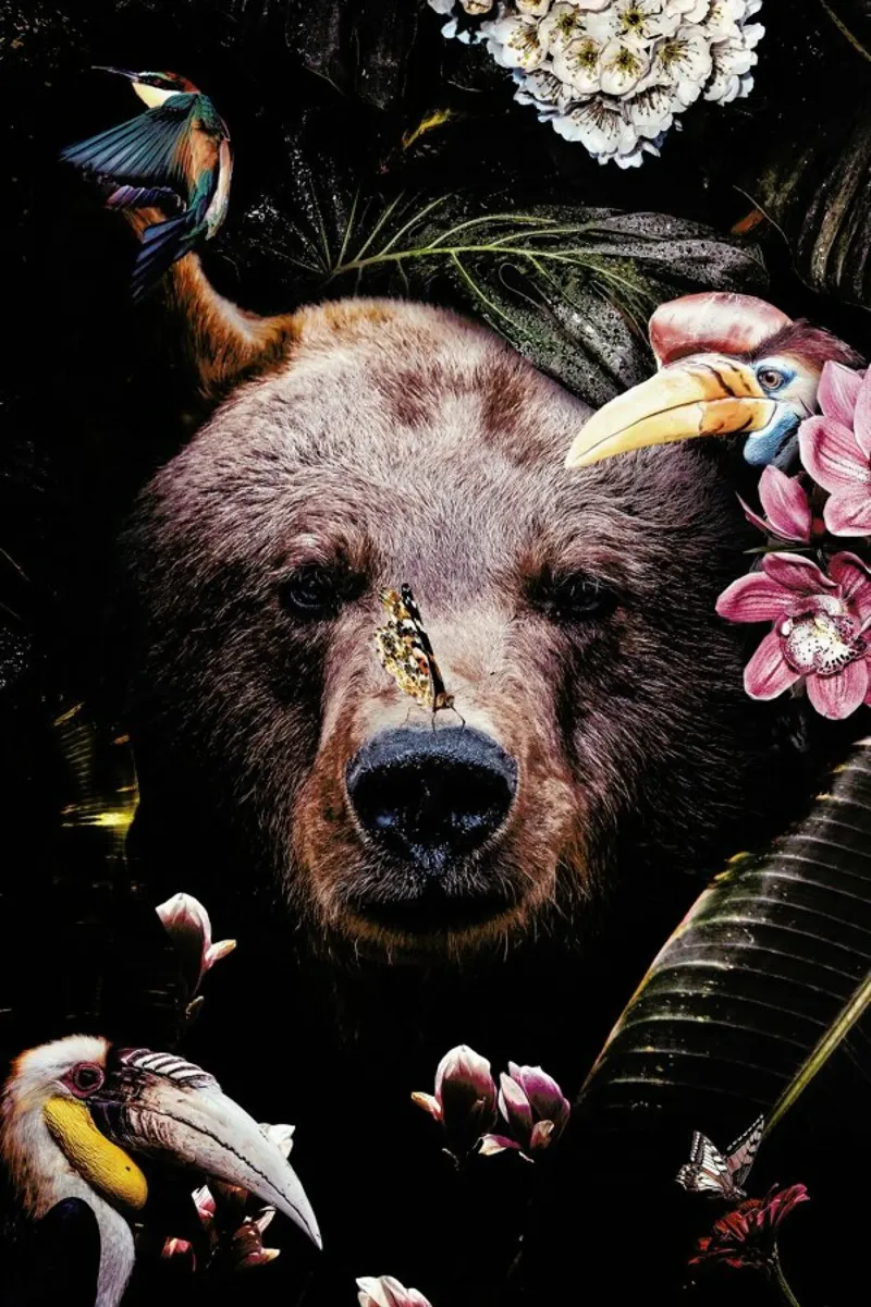 Bear pellicola backlit da Wouter Rikken