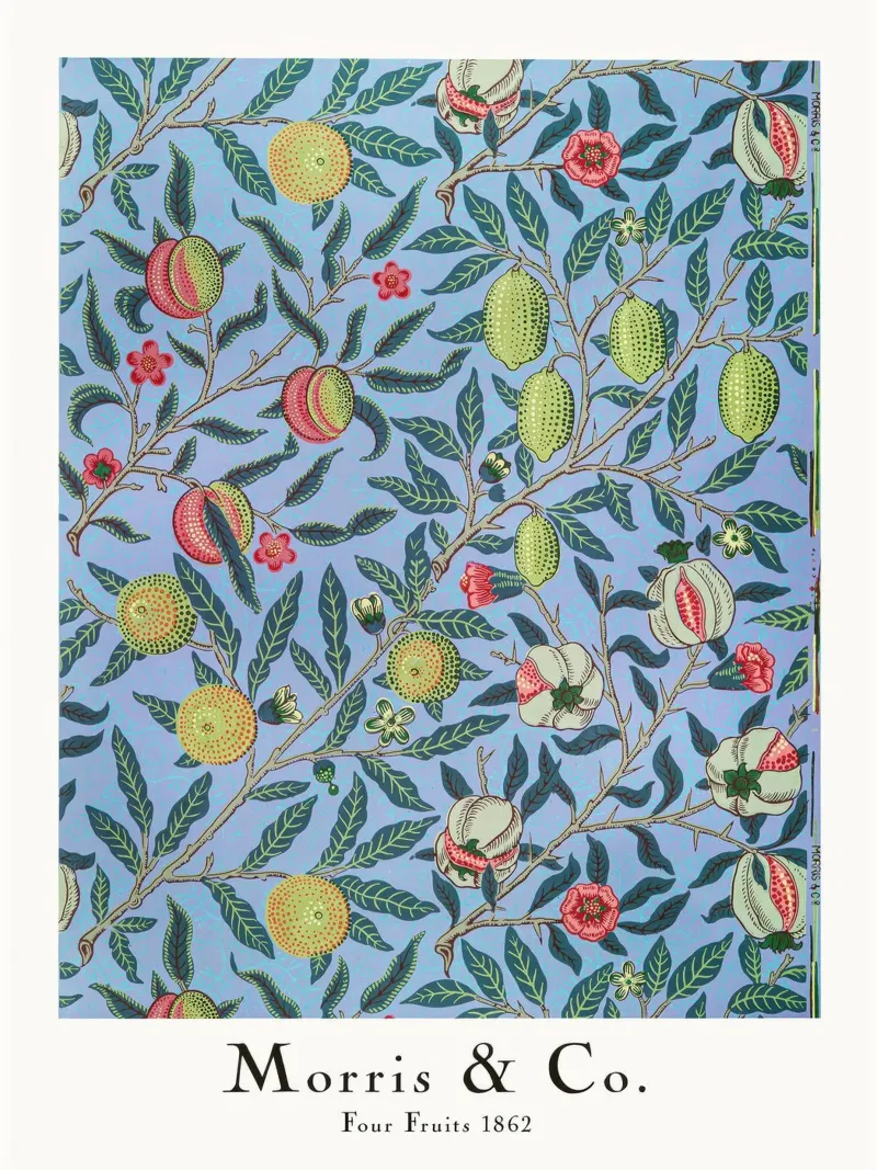 Four Fruits, 1862 print by William Morris poster by Flower