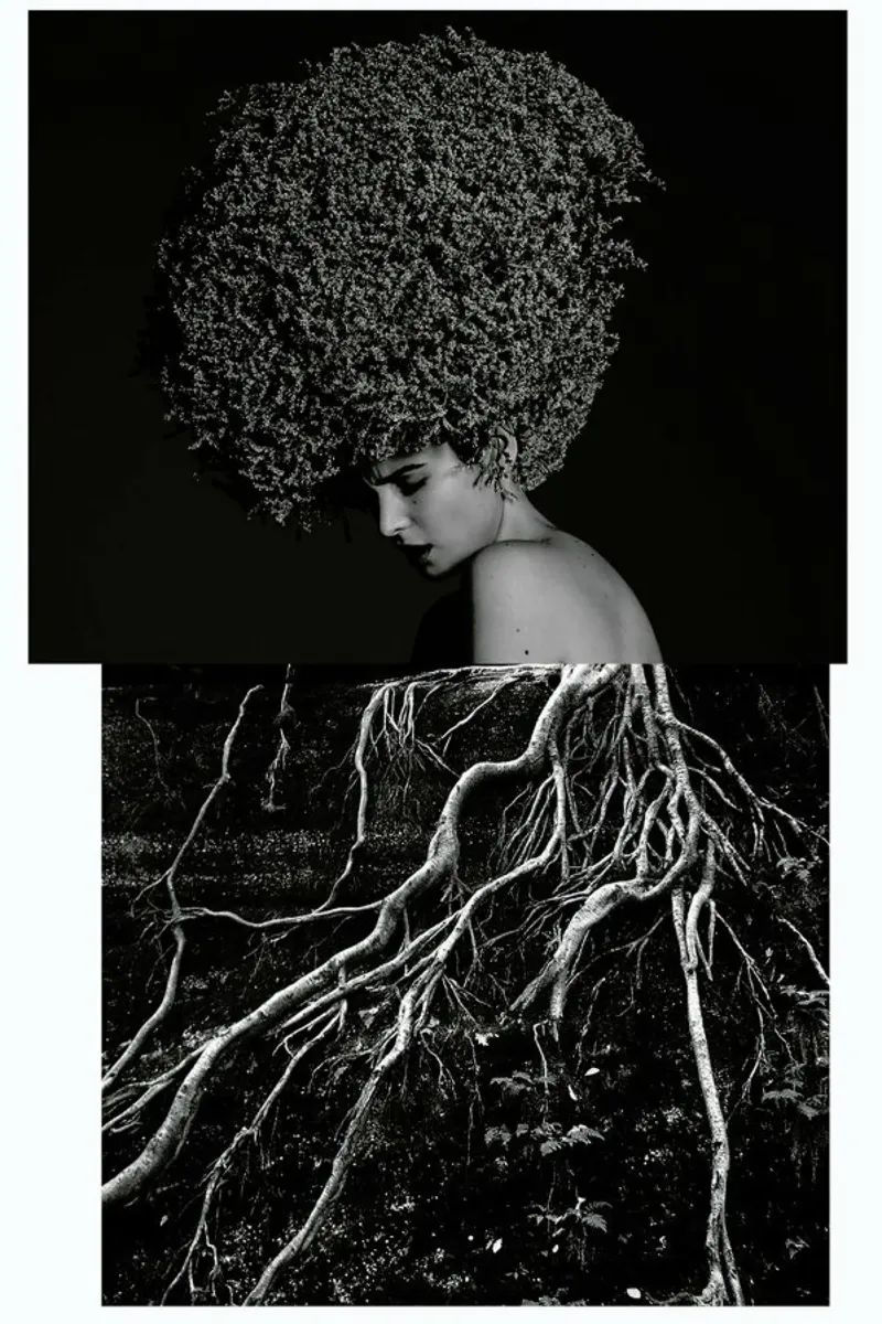 Roots pellicola backlit da Taher Mhamdi