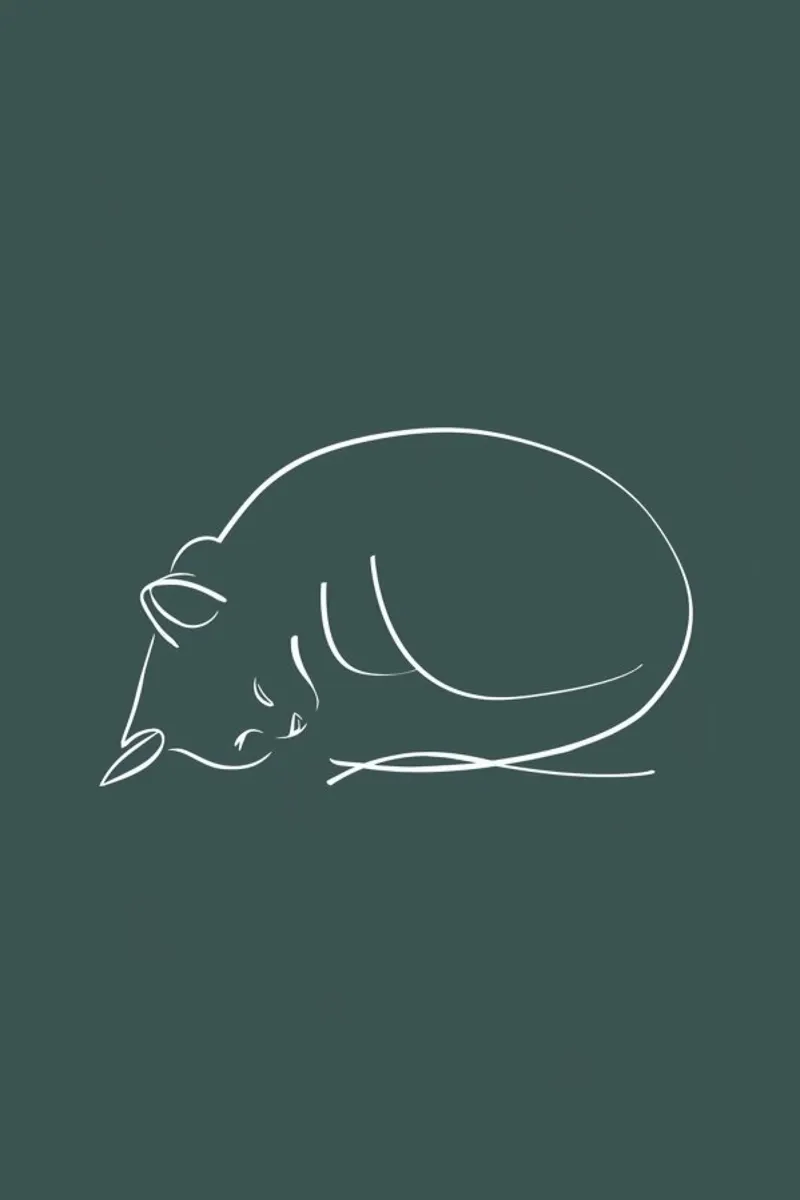 Sleeping Cat plexiglass da XOXO Arte