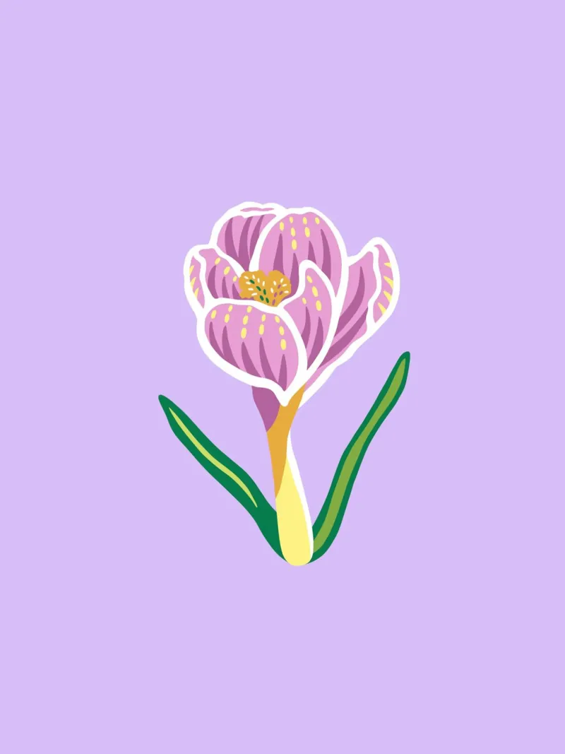KROKUSBLUME alluminio dibond da Anastasia Mattern
