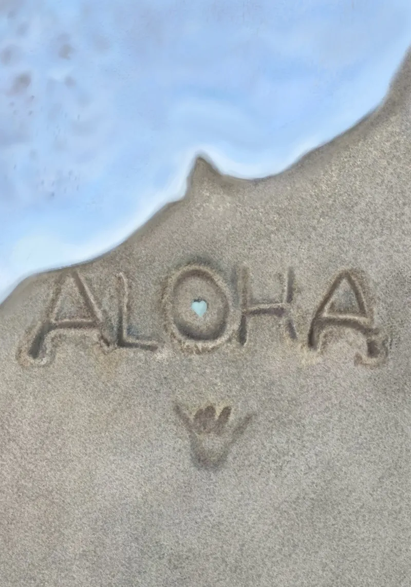 Onde Aloha poster da Verse