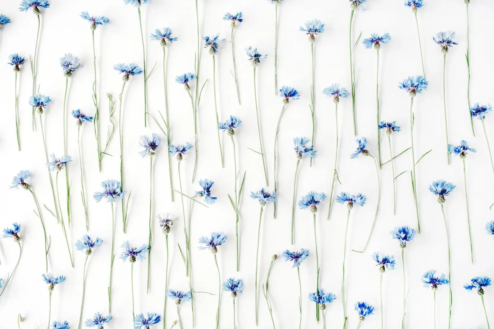 Sussurri blu poster da PhotoVibe Decor
