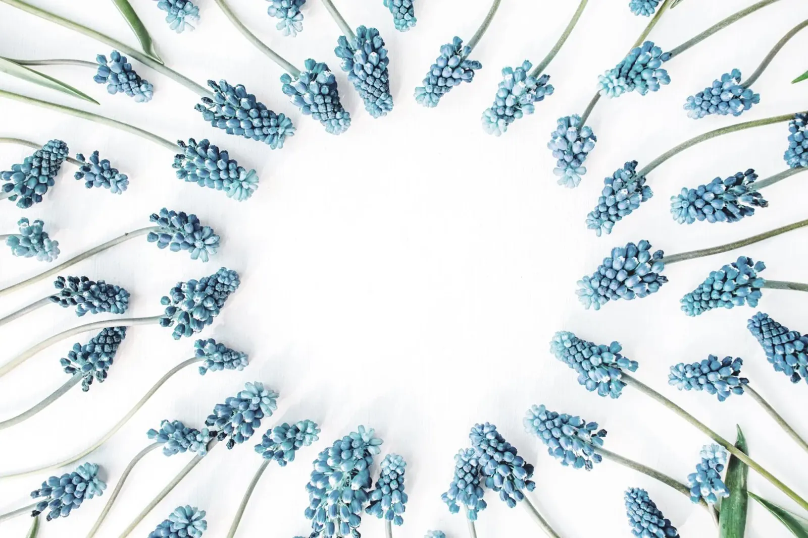 Sussurri blu poster da PhotoVibe Decor