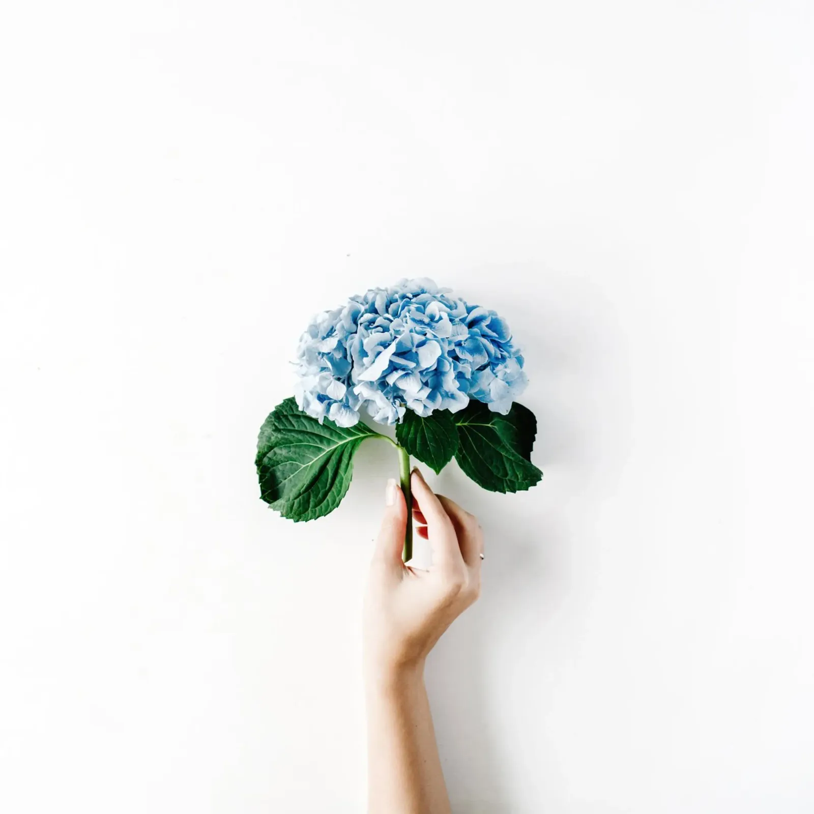 Blauw gefluister canvas met Baklijst van PhotoVibe Decor