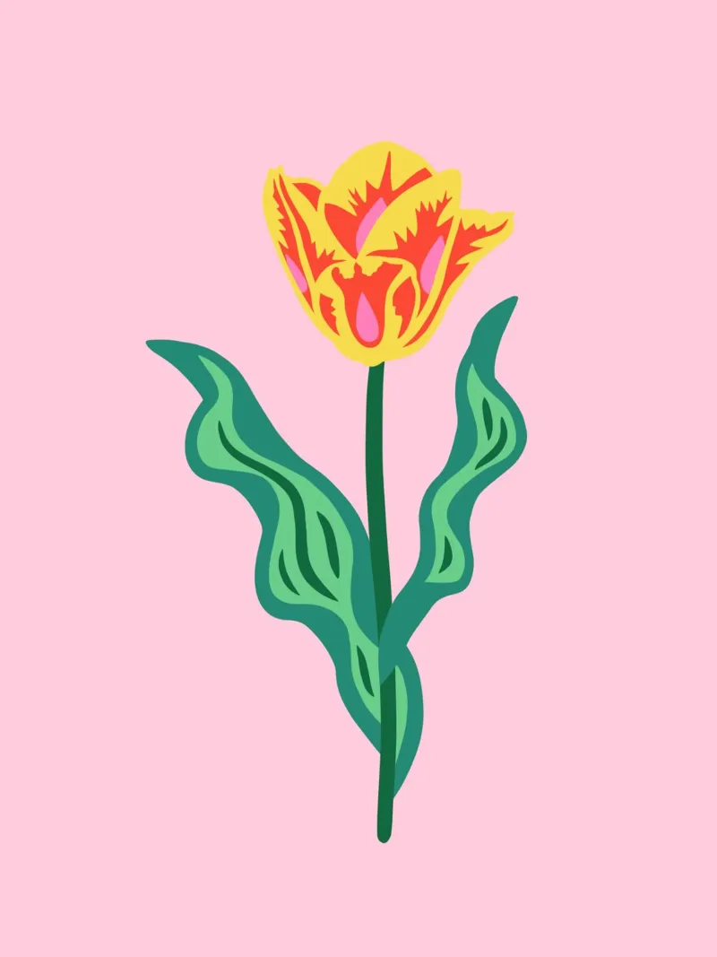 ROT-GELBE TULPE poster with plastic frame by Anastasia Mattern